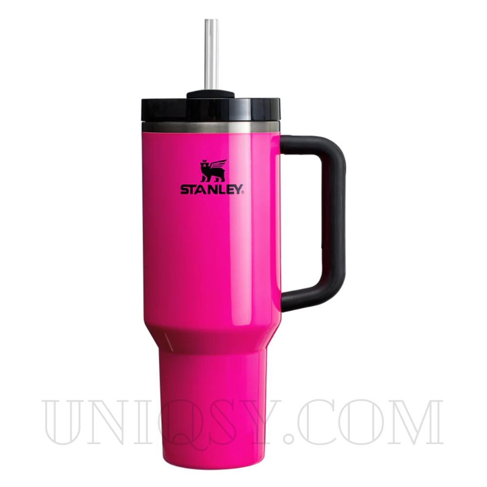 Stanley 40 OZ Tumbler Cup with Handle